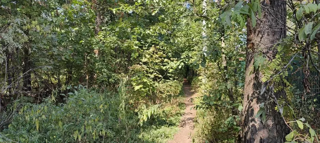 участок в московская область, пушкинский городской округ, с. тарасовка . - Фото 1