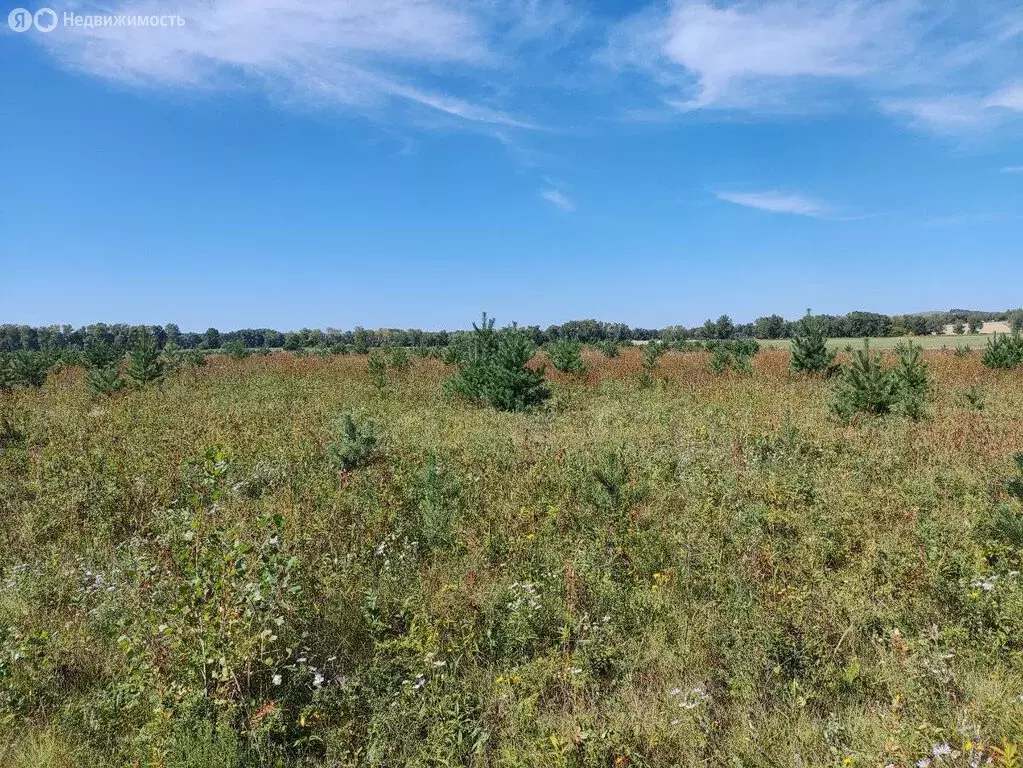 Участок в Большая Ирба, посёлок городского типа Большая Ирба (4.3 м) - Фото 1