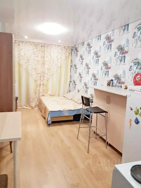 Студия Башкортостан, Уфимский район, с. Михайловка ул. Сливовая, 7 ... - Фото 0