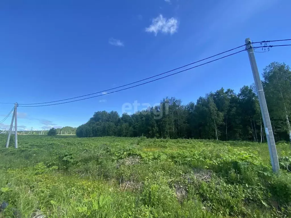 Участок в Коми, Сыктывдинский район, с. Выльгорт ул. Еловая (10.0 ... - Фото 1