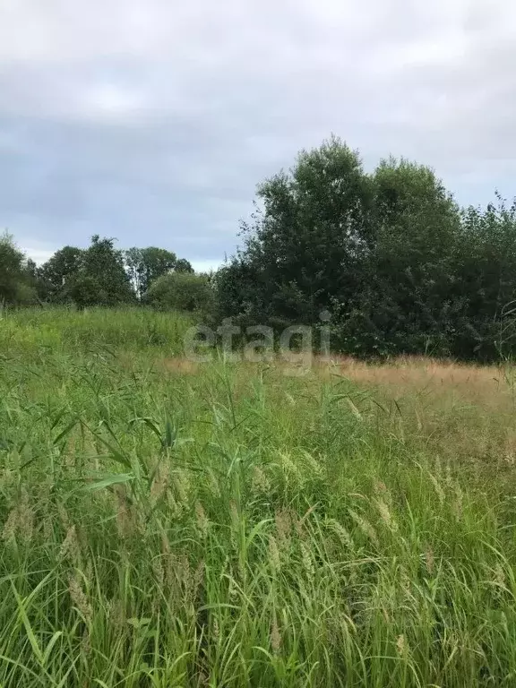 Участок в Хабаровский край, Хабаровский район, с. Гаровка-1  (16.0 ... - Фото 1