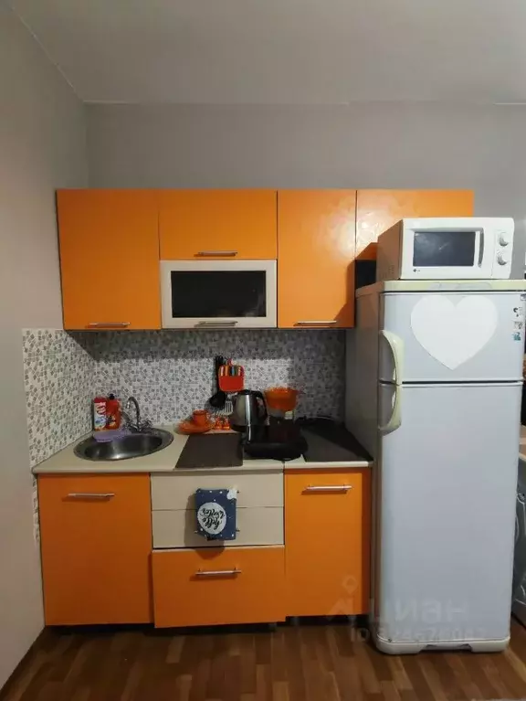 Студия Красноярский край, Красноярск ул. Борисова, 42 (25.0 м) - Фото 1