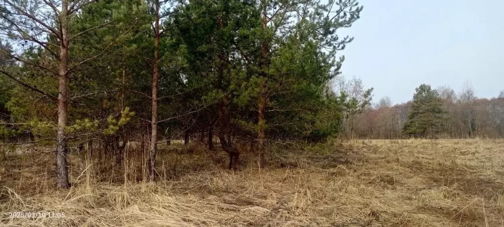 Участок в Смоленская область, Демидовский муниципальный округ, д. ... - Фото 2