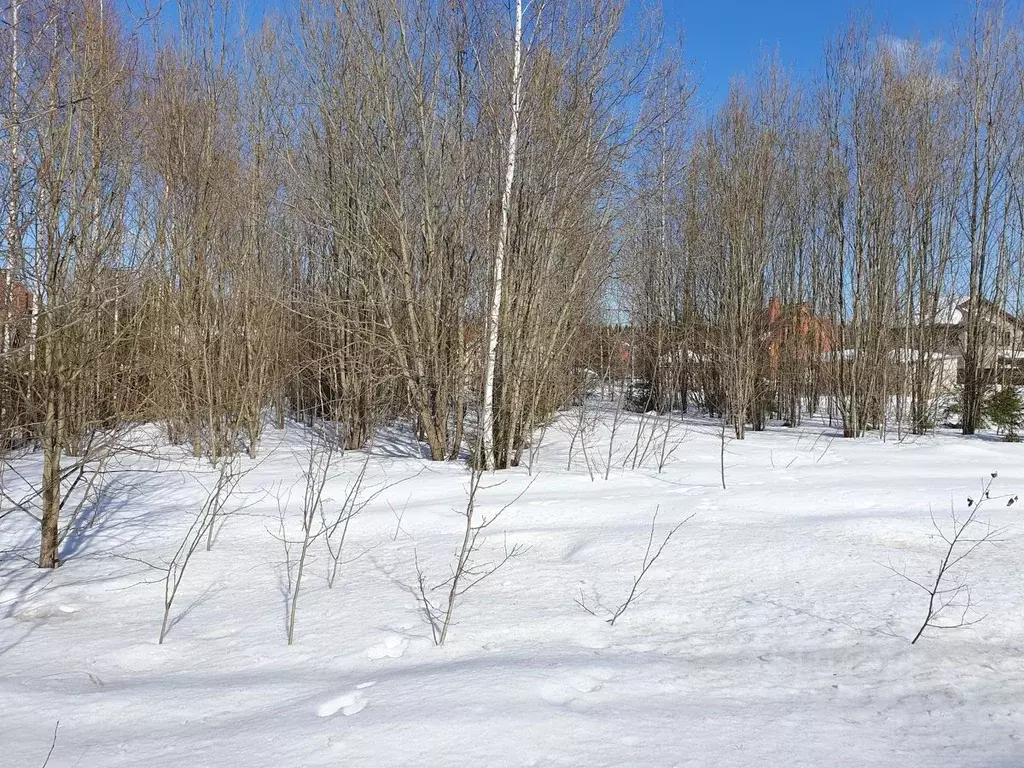 Участок в Московская область, Солнечногорск городской округ, д. ... - Фото 0