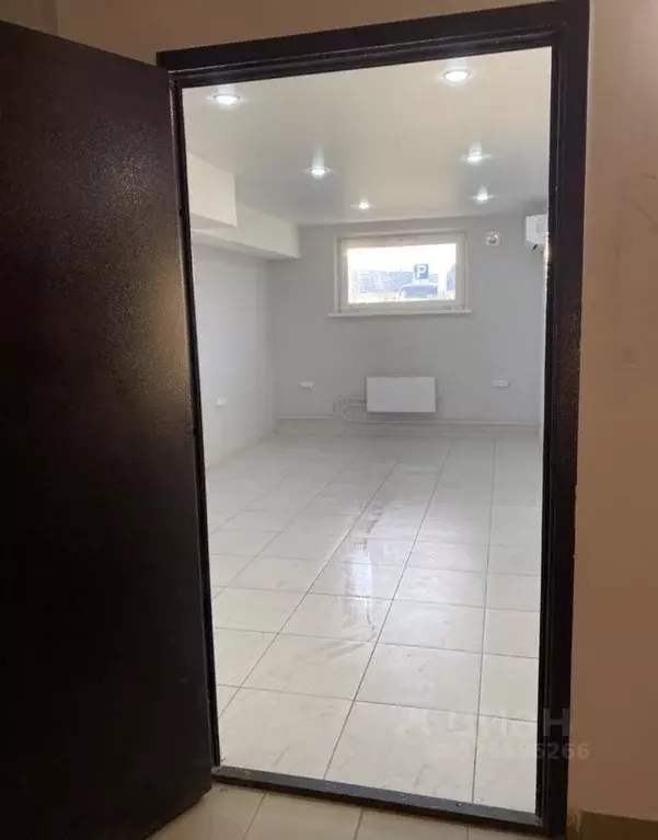 Помещение свободного назначения в Краснодарский край, Анапа ул. ... - Фото 1