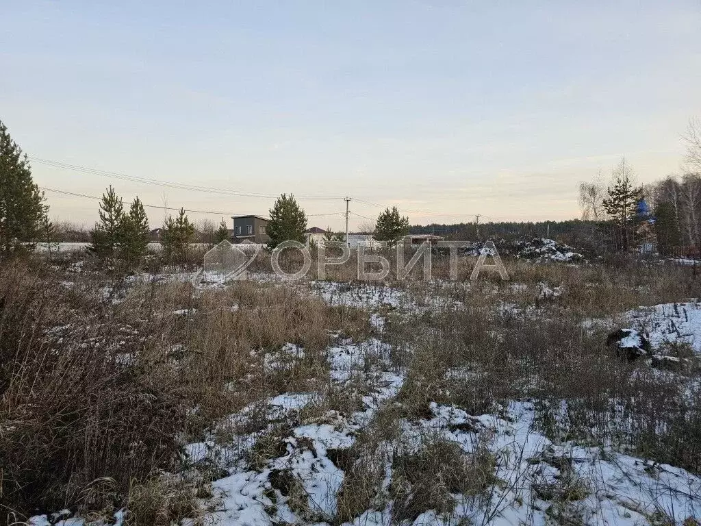 Участок в Тюменская область, Тюменский муниципальный округ, с. ... - Фото 2