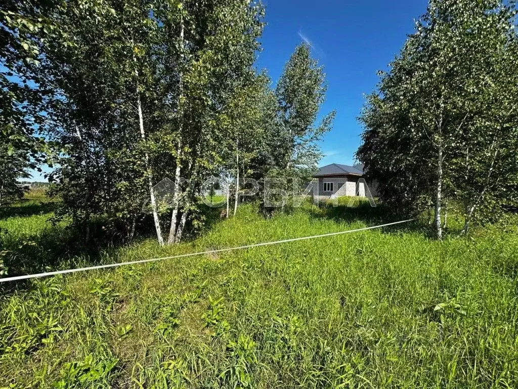 Участок в Тюменская область, Тюмень Салаирский тракт, 6-й км, 19 (4.66 ... - Фото 1