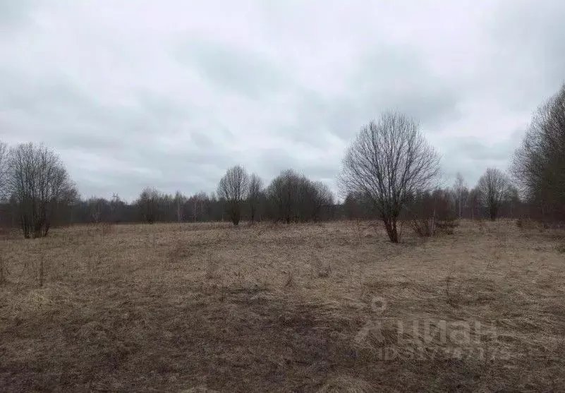Участок в Московская область, Дмитровский муниципальный округ, д. ... - Фото 1