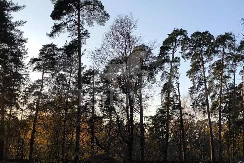 Участок 3,8 га (ИЖС) - Фото 0