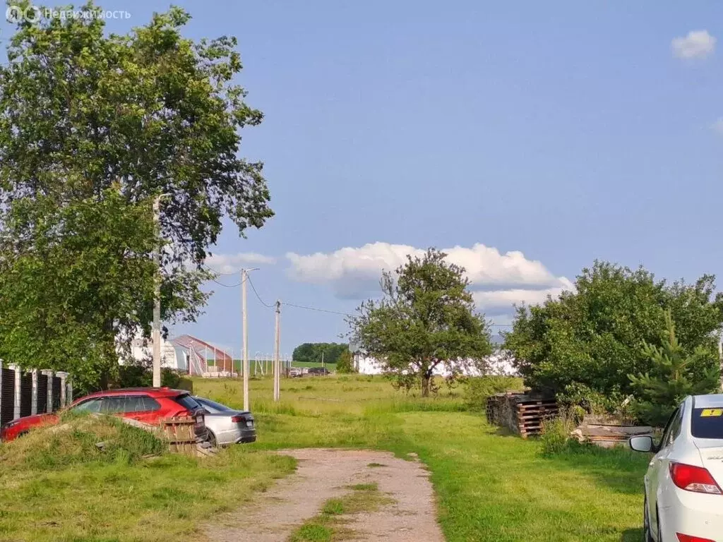 Участок в Курский район, Полянский сельсовет, село Полянское (50 м) - Фото 0