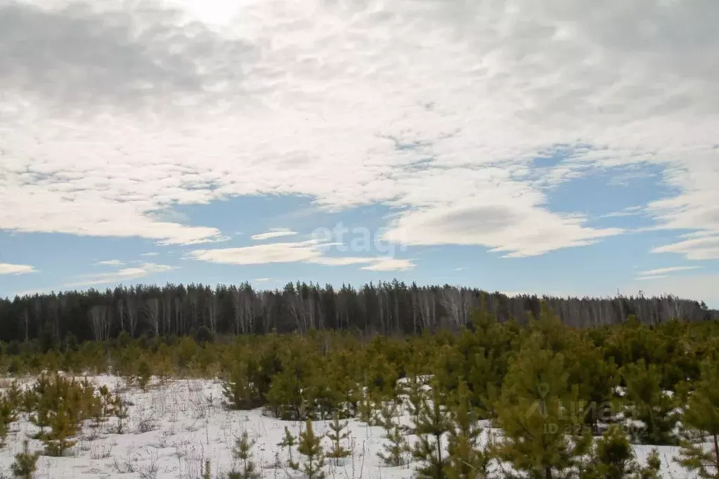 Участок в Свердловская область, Сысертский муниципальный округ, Клевер ... - Фото 1