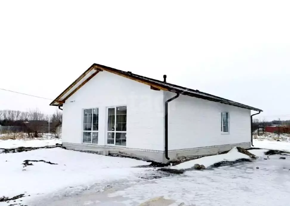 Дом в Воронежская область, село Новая Усмань (96 м) - Фото 1