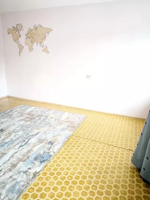 Студия Новосибирская область, Новосибирский район, Краснообск рп 244 ... - Фото 2