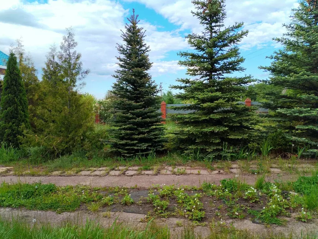 Участок в Таптыковский сельсовет, СНТ Луч-2, 30 (14.52 м) - Фото 1