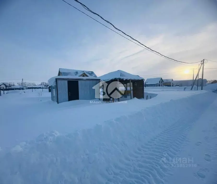 Участок в Новосибирская область, Новосибирский район, Морской ... - Фото 1