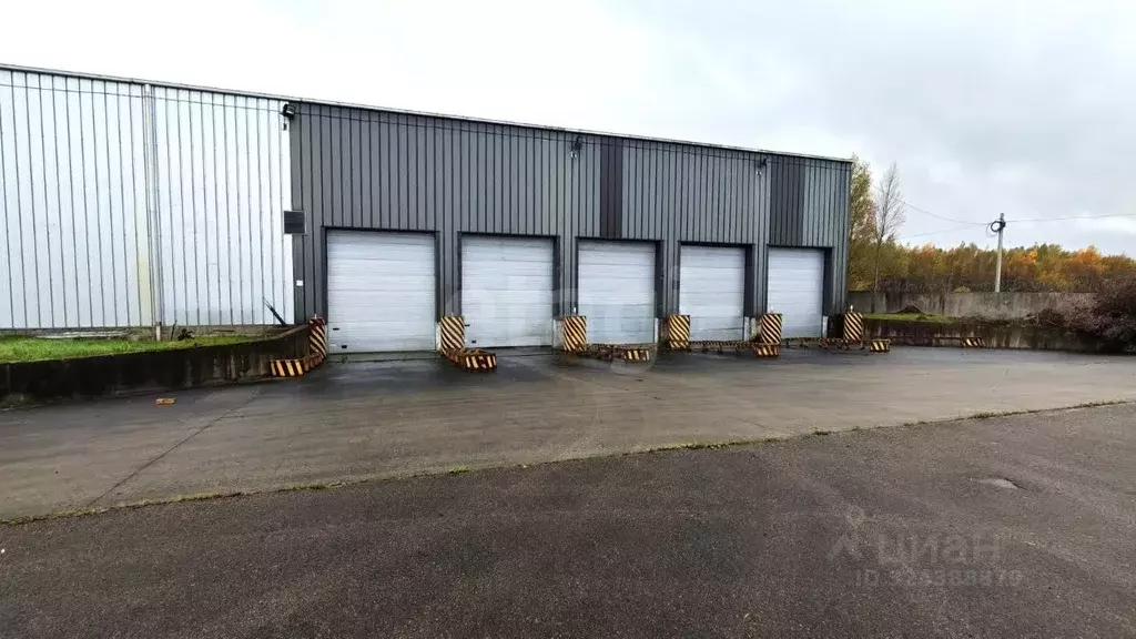 Склад в Калининградская область, Зеленоградский муниципальный округ, ... - Фото 1