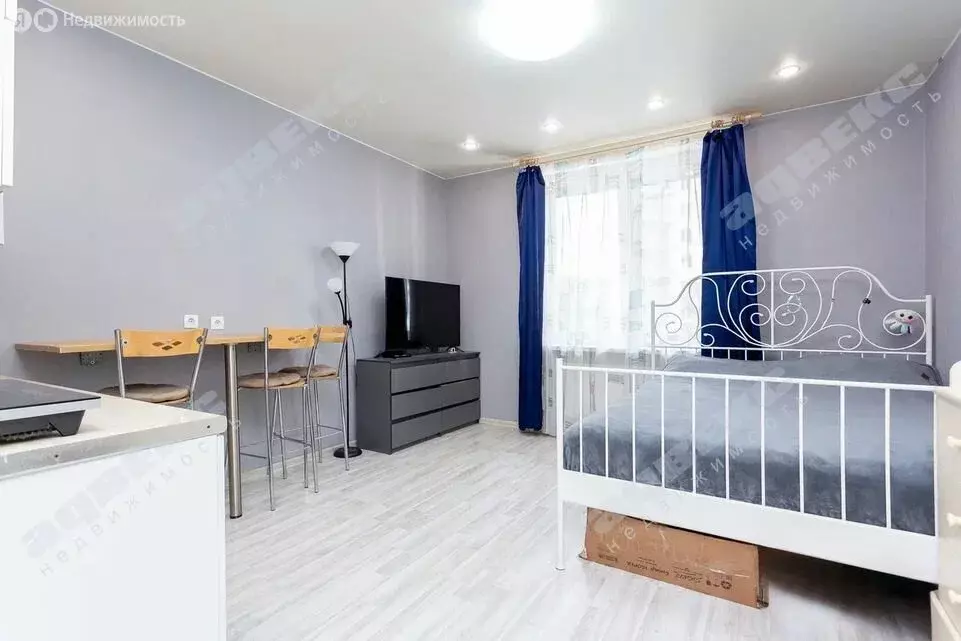 Квартира-студия: Санкт-Петербург, Русановская улица, 19к1 (27.3 м) - Фото 1