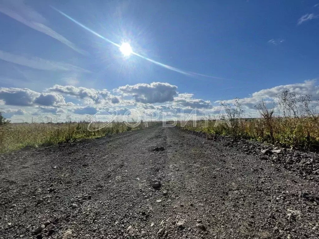 Участок в Тюменская область, Тюменский муниципальный округ, д. ... - Фото 2