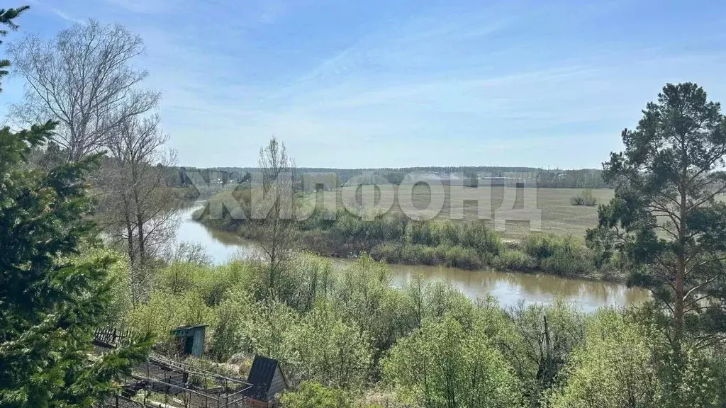 Участок в Новосибирская область, Новосибирский район, Березовский ... - Фото 1