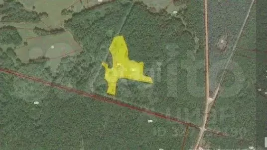 Участок в Новосибирская область, Ордынский район, с. Кирза  (8.8 сот.) - Фото 2