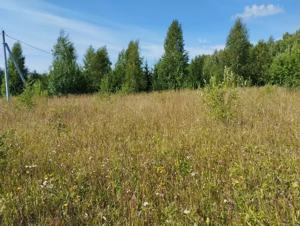 Участок в Пермский край, Добрянский городской округ, д. Бобки  (14.0 ... - Фото 1