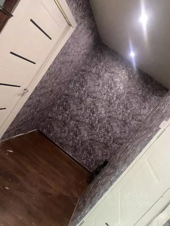 2-к кв. Новосибирская область, Новосибирск ул. Немировича-Данченко, ... - Фото 0