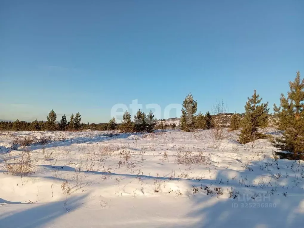 Участок в Бурятия, Тарбагатайский район, Саянтуйское с/пос, с. Нижний ... - Фото 1