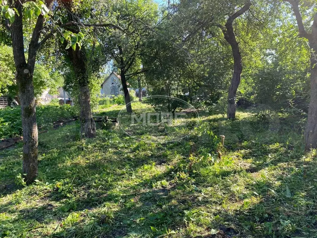 Участок 7,5 сот. (СНТ, ДНП) - Фото 1