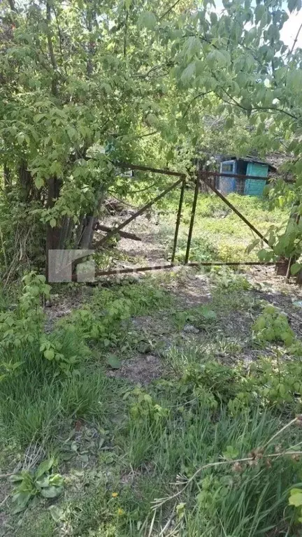 Участок в Алтайский край, Барнаул Гоньбинка кв-л,  (8.0 сот.) - Фото 1