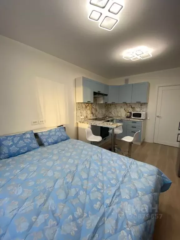 Студия Санкт-Петербург ул. Пахомовская, 8к3 (20.4 м) - Фото 2