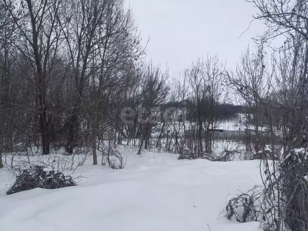 Участок в Белгородская область, Алексеевский муниципальный округ, ... - Фото 1