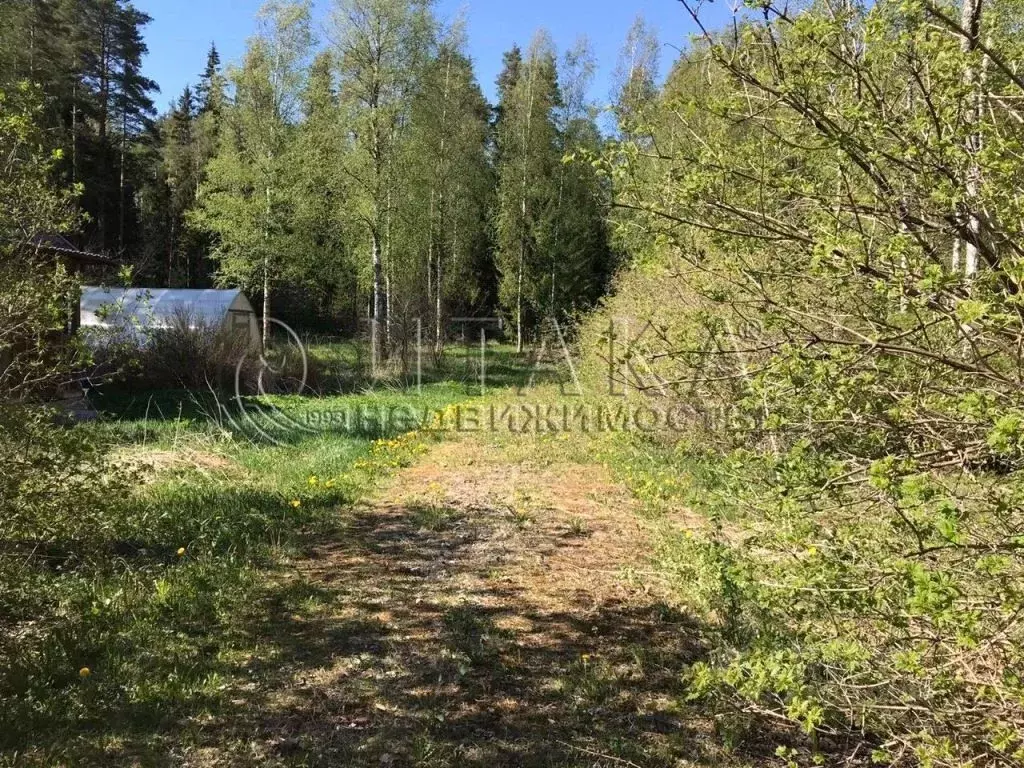 Участок в Ленинградская область, Выборгский район, Рощинское городское ... - Фото 0