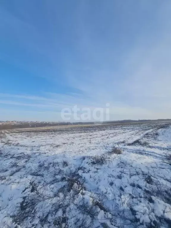 Участок в Белгородская область, Белгородский район, Комсомольское ... - Фото 1