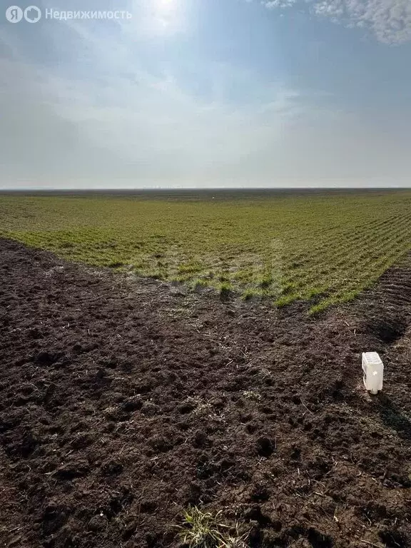 Участок в Сакский район, село Молочное (760 м) - Фото 2