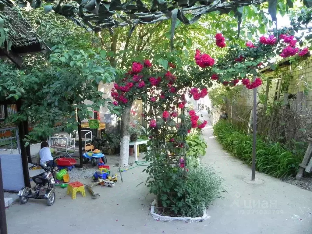 Участок в Краснодарский край, Геленджик городской округ, с. ... - Фото 2