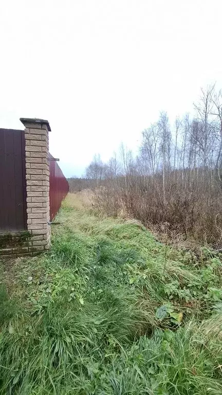 Участок в Смоленский муниципальный округ, деревня Заборье (Стабенское ... - Фото 2