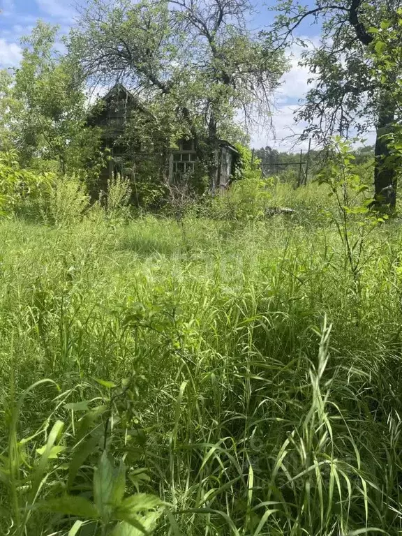 Дом в Брянская область, Брянск Прогресс СНТ,  (26 м) - Фото 1