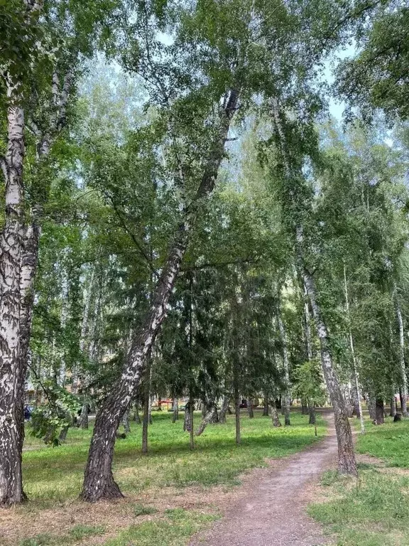 1-к кв. Новосибирская область, Бердск ул. Микрорайон, 63 (29.0 м) - Фото 2