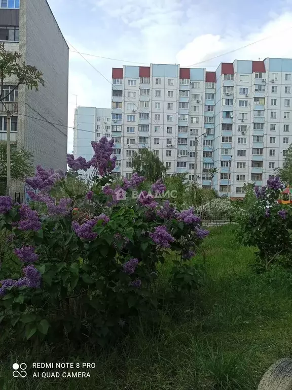 2-к. квартира, 50,3 м, 4/10 эт. - Фото 0