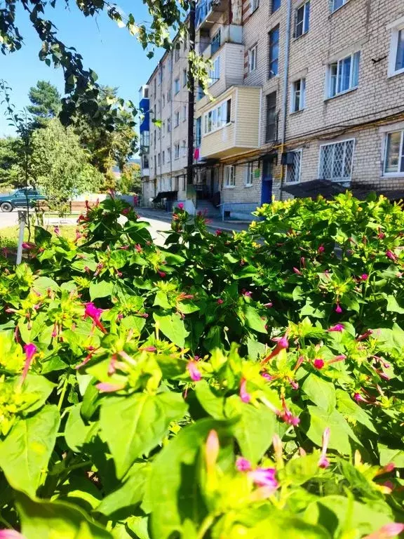 1-к кв. Карачаево-Черкесия, Карачаевск ул. Ленина, 37А (30.0 м) - Фото 0