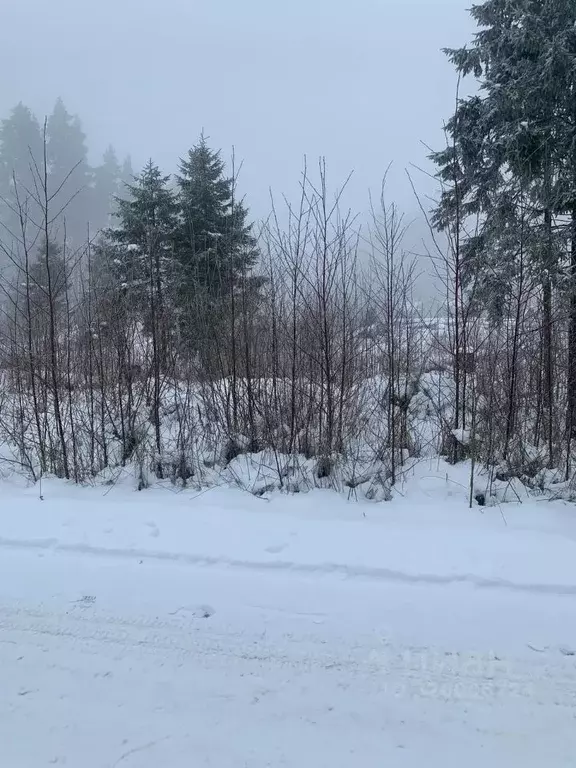 Участок в Ленинградская область, Выборгский район, Полянское с/пос, ... - Фото 1