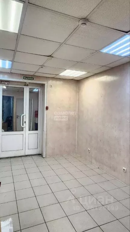 Торговая площадь в Челябинская область, Челябинск ул. Мамина, 3 (10 м) - Фото 2