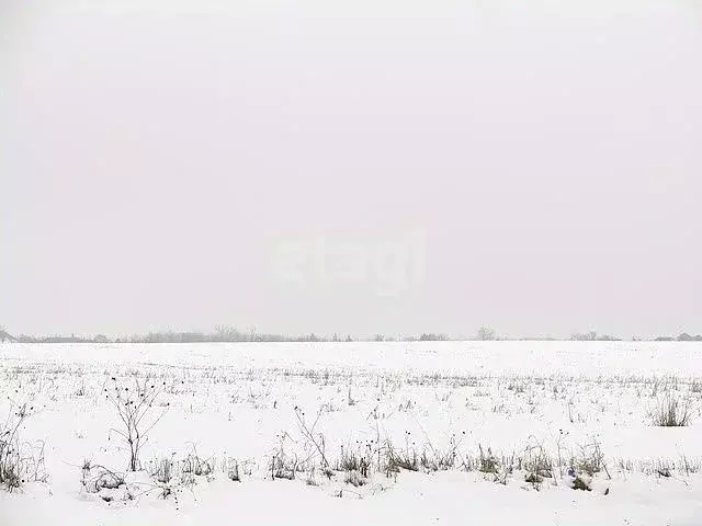 Участок в Вологодская область, д. Коренево  (15.19 сот.) - Фото 2