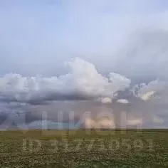Участок в Крым, Черноморский район, Медведевское с/пос, с. Медведево  ... - Фото 0