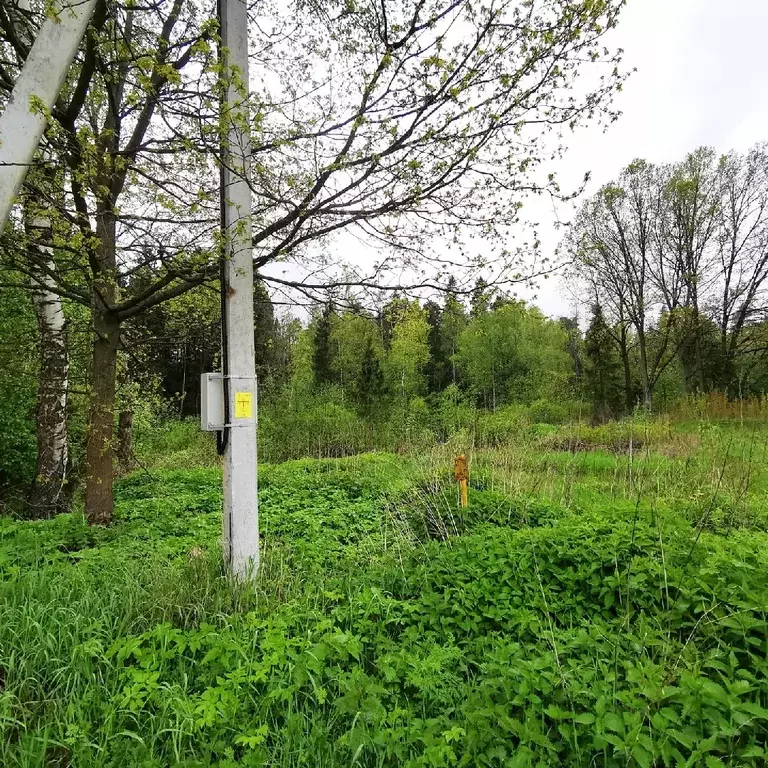 Продается участок в д. Мизиново - Фото 2