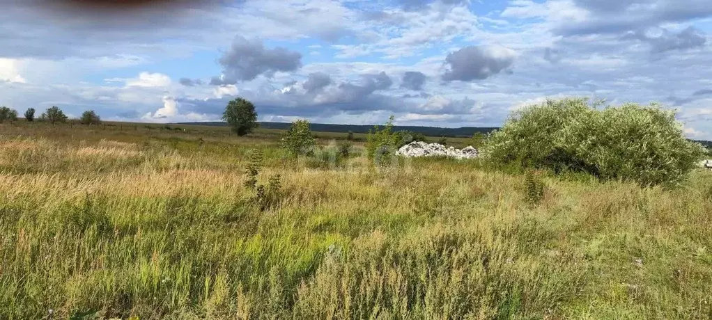 Участок в Ульяновская область, Ульяновский район, с. Тетюшское ... - Фото 0