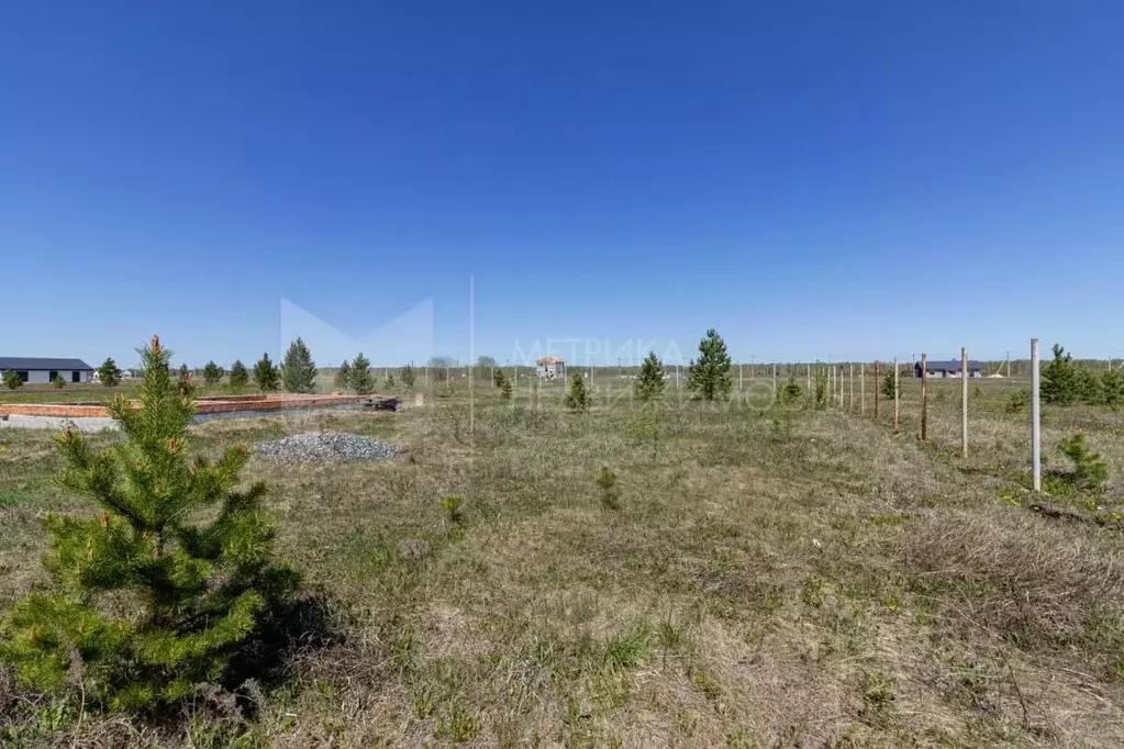 Участок в Тюменская область, Тюменский район, д. Елань  (15.58 сот.) - Фото 0