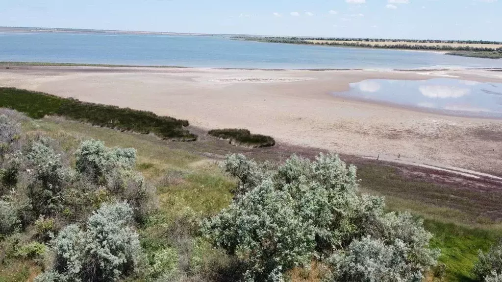 Участок в Крым, Черноморский район, с. Межводное  (10.0 сот.) - Фото 1
