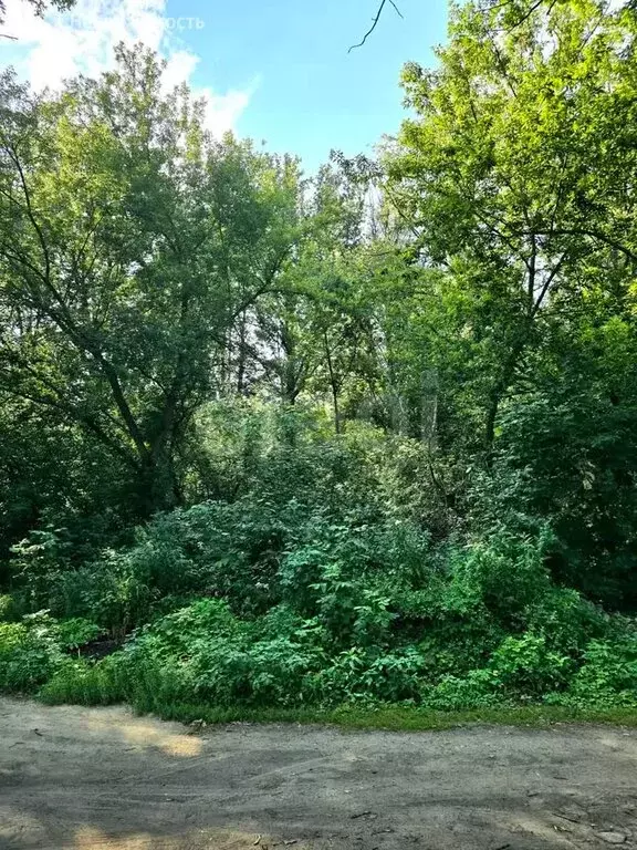 Участок в Тамбовский муниципальный округ, рабочий посёлок Новая Ляда ... - Фото 1