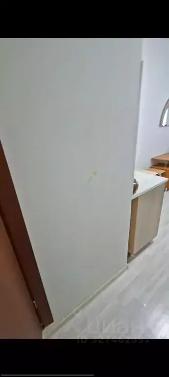 Студия Красноярский край, Красноярск ул. Королева, 14 (14.0 м) - Фото 2